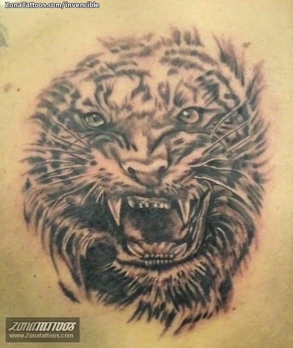 Foto de tatuaje Tigres, Animales