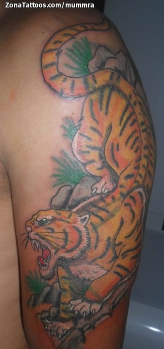 Foto de tatuaje Tigres, Animales