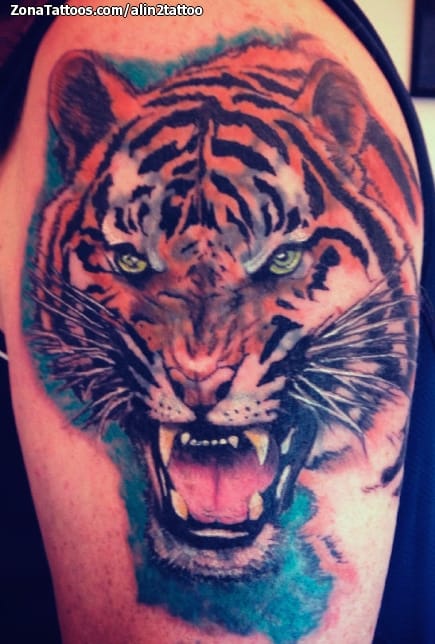 Foto de tatuaje Tigres, Cover Up, Animales