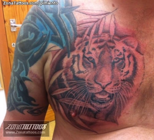 Tattoo of Tigers, Animals, Chest