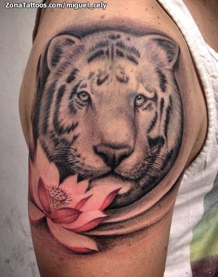 Foto de tatuaje Tigres, Animales, Lotos