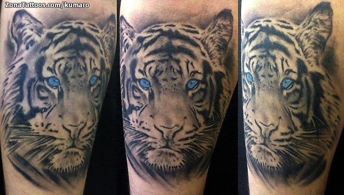 Tattoo of Animals, Tigers