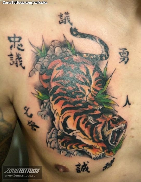 Tattoo photo Tigers, Asian, Animals