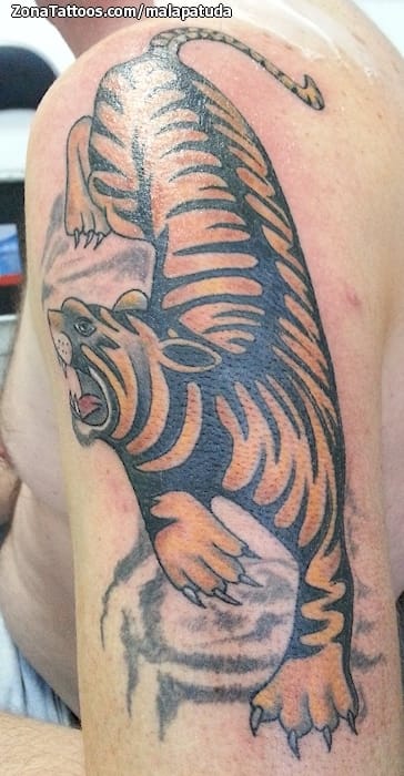 Tattoo photo Tigers, Animals, Asian