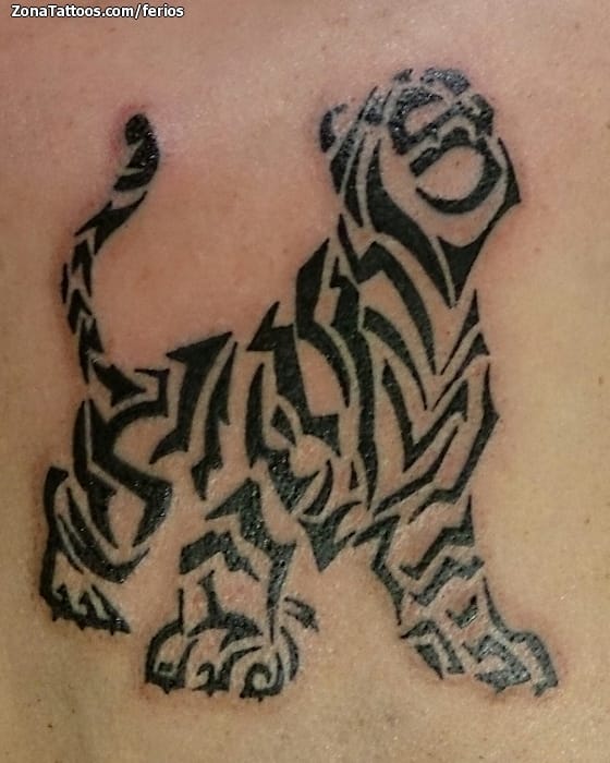 Tattoo photo Tigers, Tribal, Animals