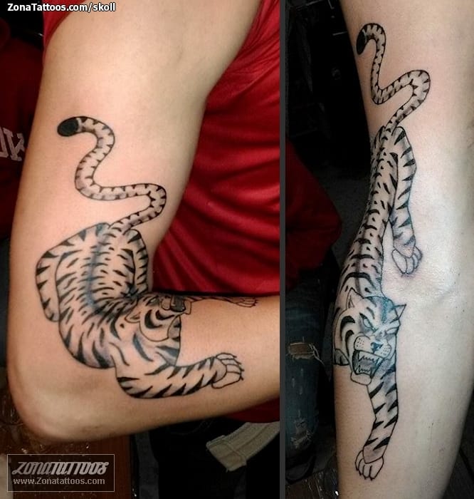 Tattoo photo Tigers, Animals
