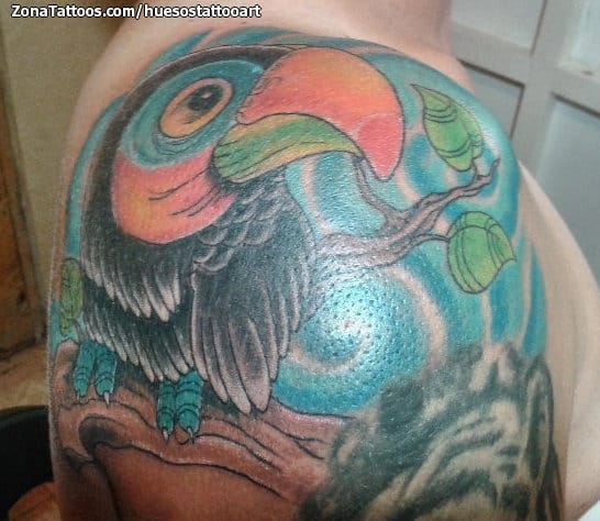 Foto de tatuaje Tucanes, Aves, Animales