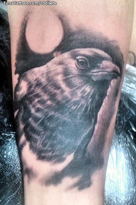 Tattoo photo Birds, Animals